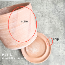 Load image into Gallery viewer, the Leaferie As-is september 2024. 12 pot