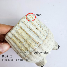 Load image into Gallery viewer, The Leaferie As-Is Batch june 2024. defective pot 12 pieces.