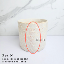 Load image into Gallery viewer, The Leaferie As-is Feb 24. Pot N