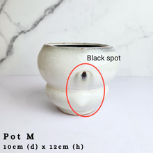 Load image into Gallery viewer, The Leaferie As-is Sale March 24. Pot M