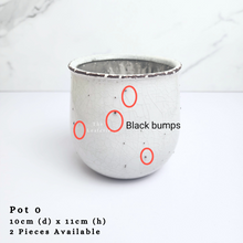 Load image into Gallery viewer, The Leaferie As-is Feb 24. Pot O