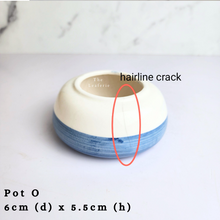 Load image into Gallery viewer, The Leaferie As-is Sale March 24. Pot O