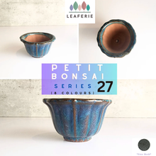 Load image into Gallery viewer, Petit Bonsai flowerpot (Series 27) 8 Colors