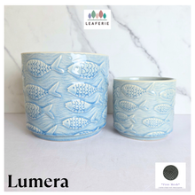 Load image into Gallery viewer, Lumera with fish pattern flowerpot on a white background, featuring the brand 'LEAFERIE'.