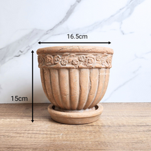 Load image into Gallery viewer, The Leaferie Philomel terracotta pot with tray.