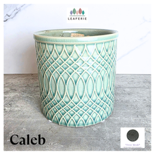 Load image into Gallery viewer, Caleb Teal patterned ceramic planter on a gray surface with 'LEAFERIE' branding.