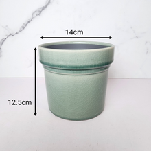 Load image into Gallery viewer, The Leaferie Azza Pot . 3 colours ceramic flowerpot