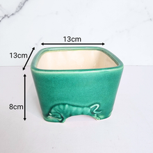Load image into Gallery viewer, The Leaferie Bonsai Series 62 Square pot with bull design . green and white colour design