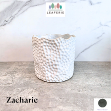 Load image into Gallery viewer, Zacharie Flowerpot