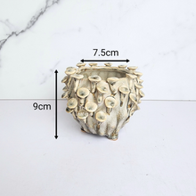 Load image into Gallery viewer, The Leaferie Handmade Moti Flowerpot. ceramic material