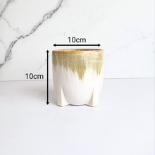 Load image into Gallery viewer, The Leaferie Noel ceramic pot.