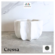 Load image into Gallery viewer, Cress White ceramic planter on a gray surface with 'LEAFAERIE' branding.