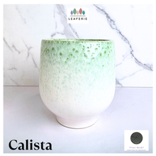 Load image into Gallery viewer, Calista Green textured vase on a marble background with 'LEAFERIE' branding.