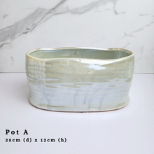 Load image into Gallery viewer, The Leaferie As-is Sale March 24. Pot A