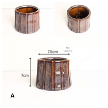 Load image into Gallery viewer, Petit Flowerpots (Series 19)