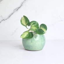 Load image into Gallery viewer, The Leaferie Petit Bonsai series 45. 5 colours ceramic pot for succulents