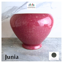 Load image into Gallery viewer, The Leaferie Junia red ceramic flowerpot