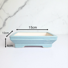Load image into Gallery viewer, The Leaferie Petit bonsai series 47. 3 colours rectangular bonsai pot
