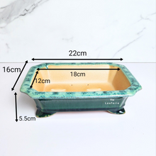 Load image into Gallery viewer, The Leaferie Bonsai Tally Series 7. green rectangular pot.