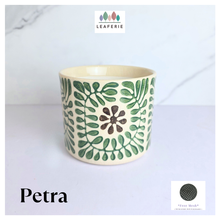 Load image into Gallery viewer, Petrax Ceramic pot with green floral pattern on a light background, featuring the Leaferie brand.