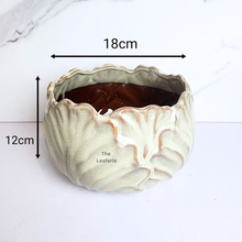Load image into Gallery viewer, The Leaferie Kolden Shallow pot. ceramic material and beige colour.