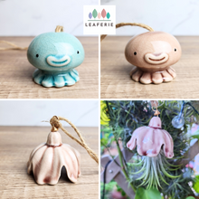 Load image into Gallery viewer, The Leaferie Tilly airplant holder. 4 colours.