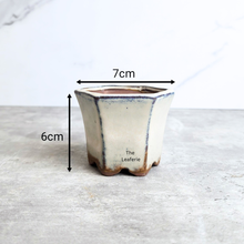 Load image into Gallery viewer, The Leaferie Petit Bonsai pots 76.. Hexagon shape a=with 4 colours.