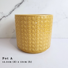 Load image into Gallery viewer, The Leaferie As-Is Batch june 2024. defective pot 12 pieces.