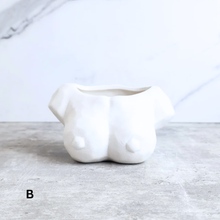 Load image into Gallery viewer, Coco Flowerpot
