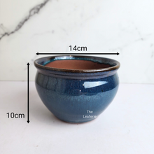 Load image into Gallery viewer, The Leaferie Aubrey shallow pot 2 designs ceramic pot