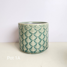 Load image into Gallery viewer, As-Is Pots Batch October 2023 (13 items)