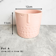 Load image into Gallery viewer, the Leaferie As-is september 2024. 12 pot