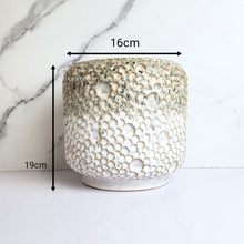 Load image into Gallery viewer, The Leaferie Gallagher crater pot.