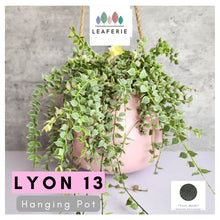Load image into Gallery viewer, Lyon Hanging Flowerpot (Series 13) 3 Colors
