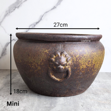 Load image into Gallery viewer, The Leaferie Lorelei no drainage hole suitable for fish bowl.