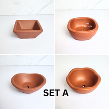 Load image into Gallery viewer, The Leaferie Petit Bonsai Series 42. 4 designs in each set