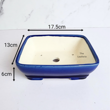 Load image into Gallery viewer, The Leaferie Bonsai series 66 . Rectangular ceramic pot. blue and green colour