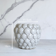 Load image into Gallery viewer, The Leaferie Nani ceramic pot. 2 colours. grey and green. front view of pot A