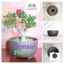 Load image into Gallery viewer, Bonsai Flowerpot
