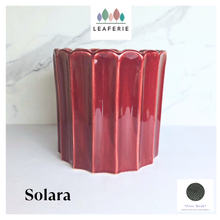 Load image into Gallery viewer, Solara red ribbed ceramic planter with 'LEAFERIE' flowerpot