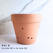 Load image into Gallery viewer, The Leaferie Terracotta Tray tall size. available in 6 sizes . Pot AA