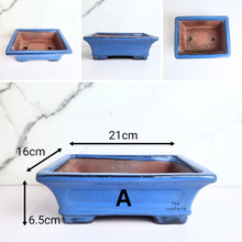 Load image into Gallery viewer, The Leaferie bonsai series 58 blue range 6 designs