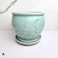 Load image into Gallery viewer, The Leaferie Liane orchid pot with holes and matching tray. ceramic material