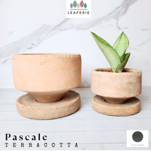 Load image into Gallery viewer, Pascale Flowerpot (2 sizes)