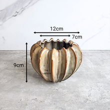 Load image into Gallery viewer, The Leaferie Jeroa beige flowerpot. ceramic material