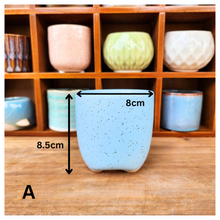 Load image into Gallery viewer, Petit Flowerpots (Series 6)