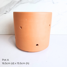 Load image into Gallery viewer, The Leaferie As-is March 25 . 9 items