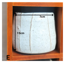 Load image into Gallery viewer, Petit Flowerpots (Series 2)