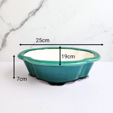 Load image into Gallery viewer, The Leaferie Bonsai pot Series 65. ceramic pot 2 colours