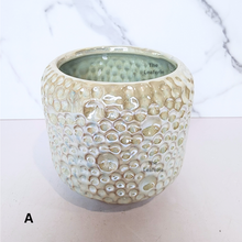 Load image into Gallery viewer, Olivia Iridescent Flowerpot (3 sizes)